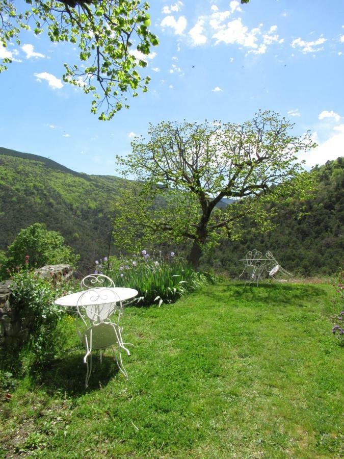 לינה וארוחת בוקר Saint-André-de-Rosans La Ferme De La Condamine מראה חיצוני תמונה